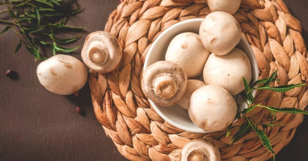 mushroom nutrition