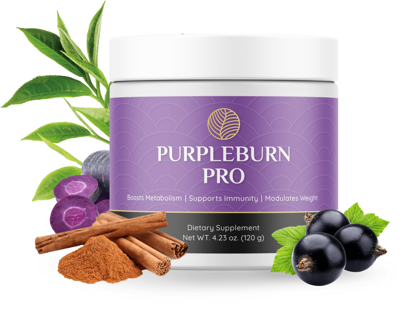 Purpleburn Pro buy