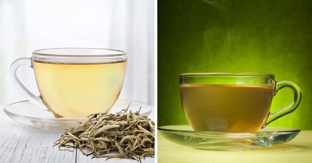White Tea or Green Tea