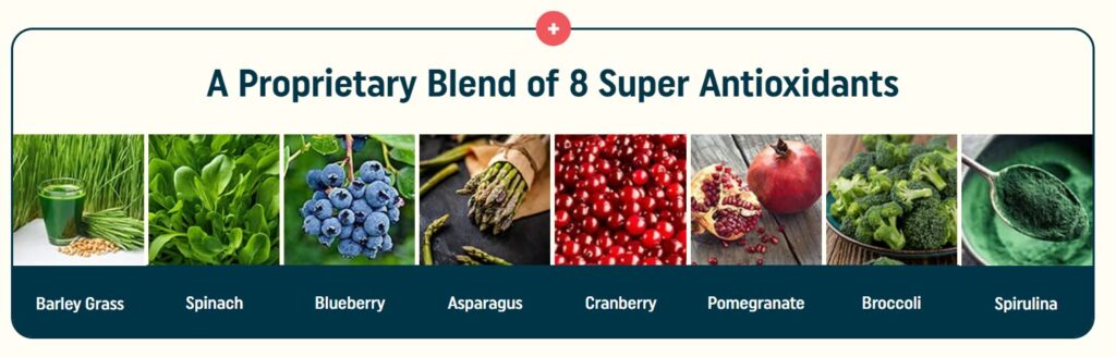 nagano tonic ingrediants