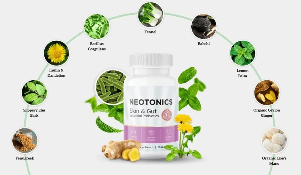 neotonics reviews ingredients