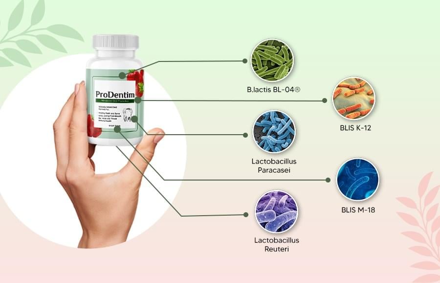 prodentim ingredients