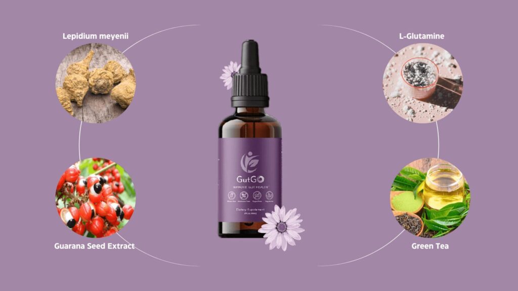 Gutgo Gut Health ingrediants