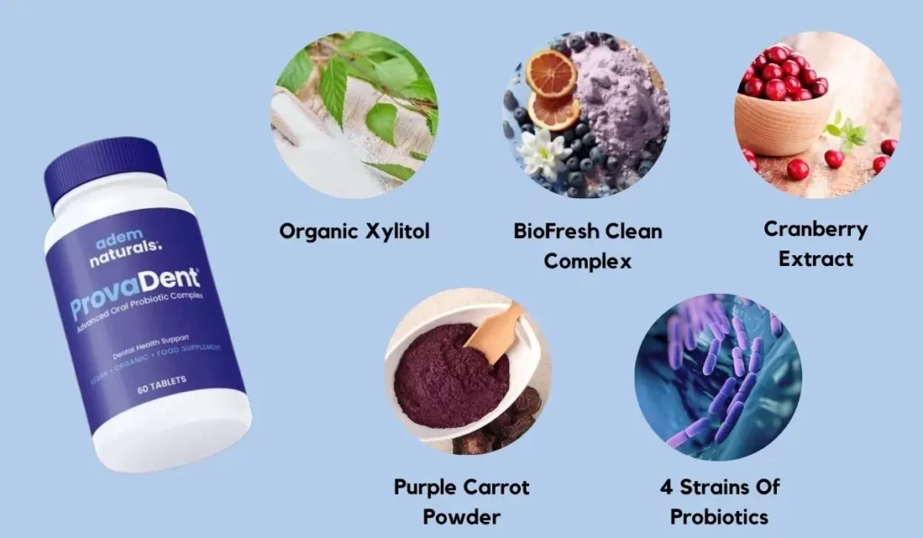ProvaDent Ingredients