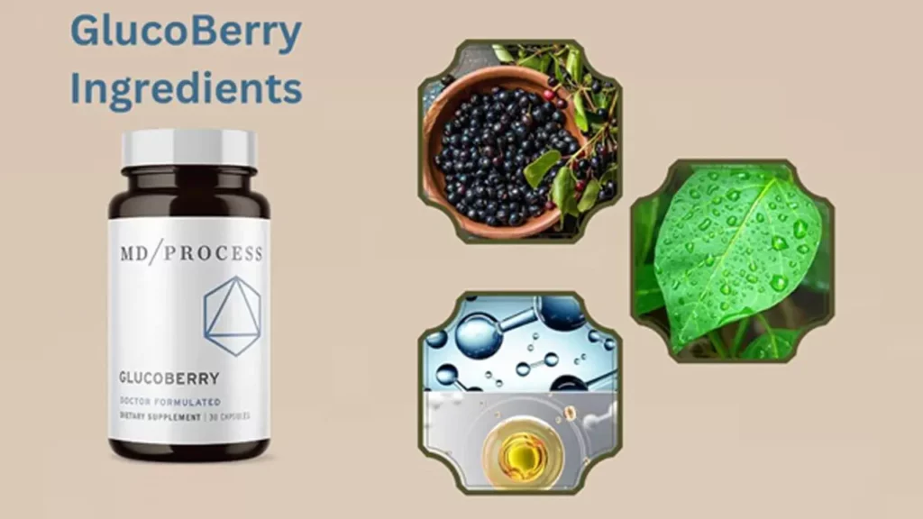 GlucoBerry Ingredients
