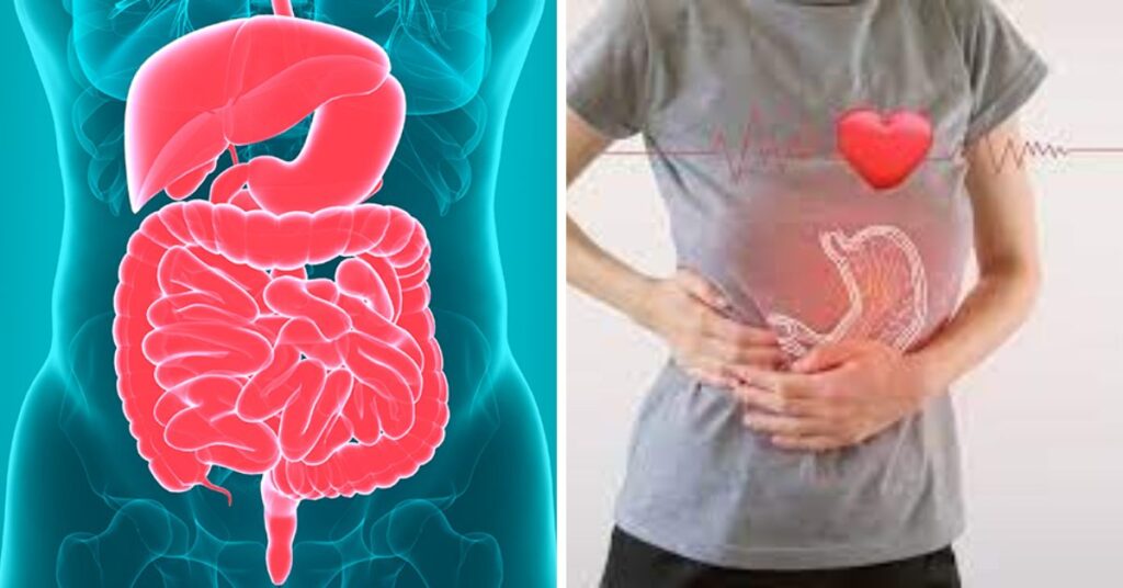 Recognizing the Signs of an Unhealthy Gut