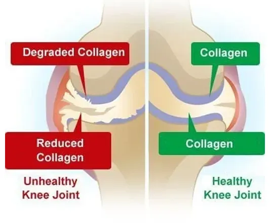 Joint Glide | Joint Glide Critical Nutrition Labs | Official Website