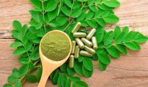 Best Moringa Supplement