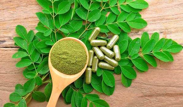 Best Moringa Supplement