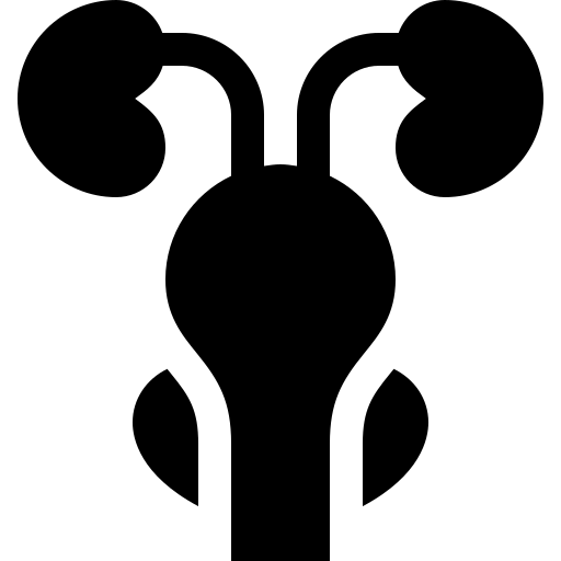 Prostate Icon