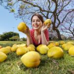 Benefits of Eating Mango
