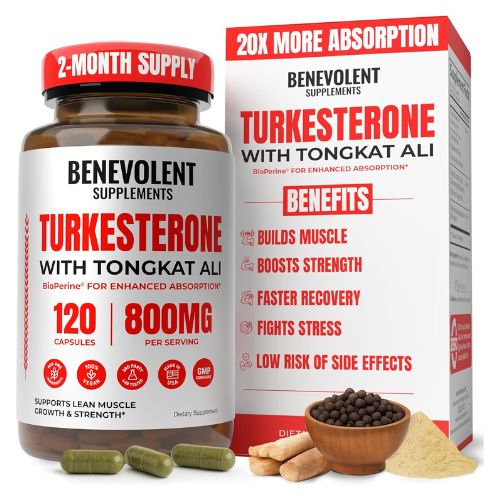 Benevolent Nourishment Best Supplements for Muscle Growth