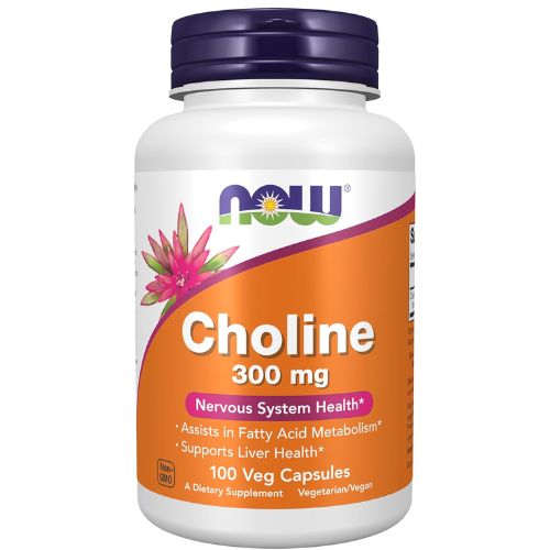 NOW Foods Choline Supplement Pregnancy