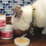 Fera Pets Probiotics for Cats