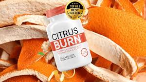 How These Ingredients Work Together