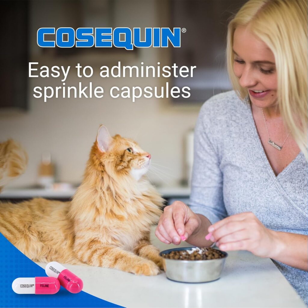 How to Use Nutramax Cosequin for Cats Joint Health Supplement