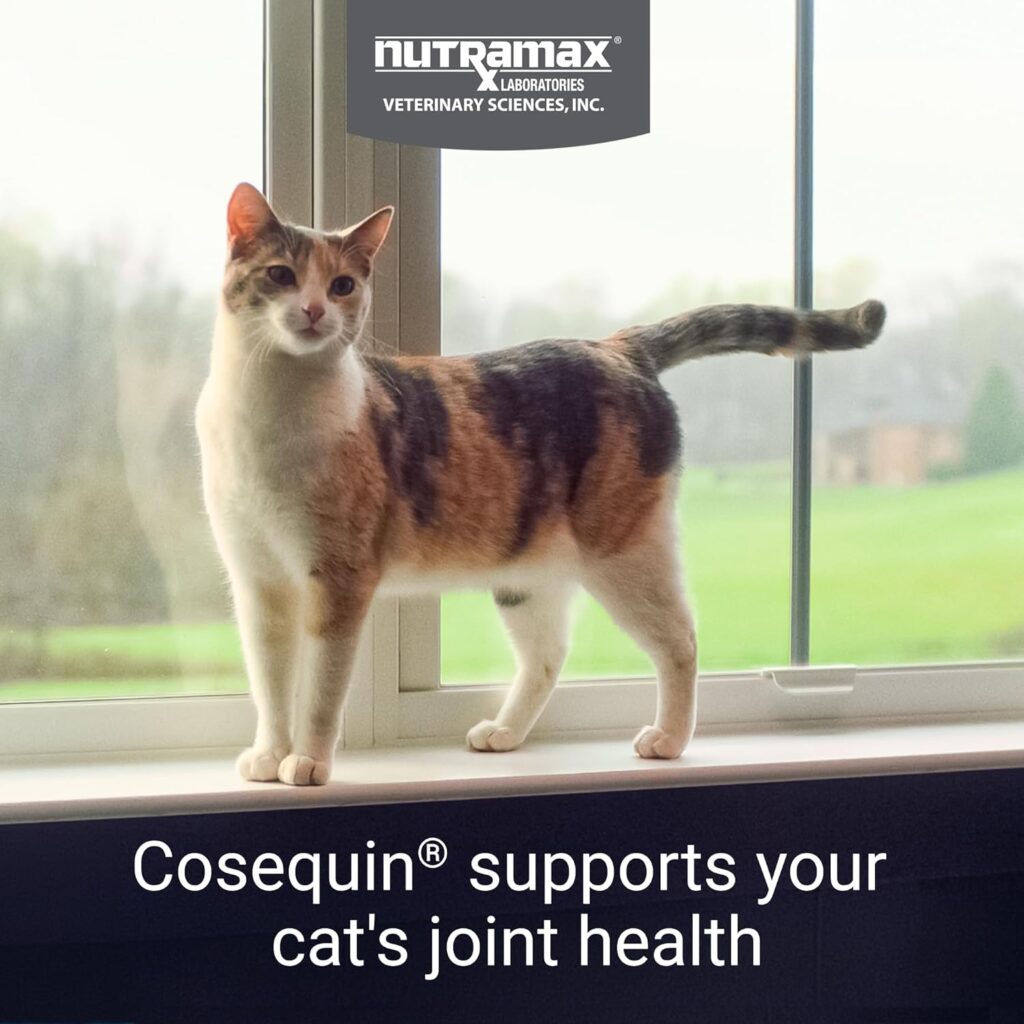 Key Benefits of Nutramax Cosequin for Cats Joint Health Supplement