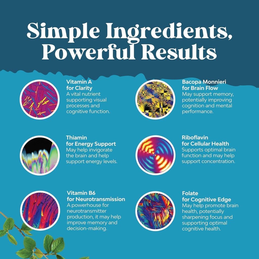 Key Ingredients in Nootropic Brain Supplement for Memory