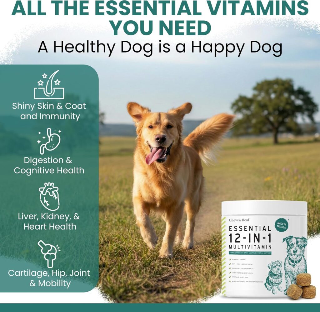 Key Ingredients in Puppy & Senior Dog Vitamins