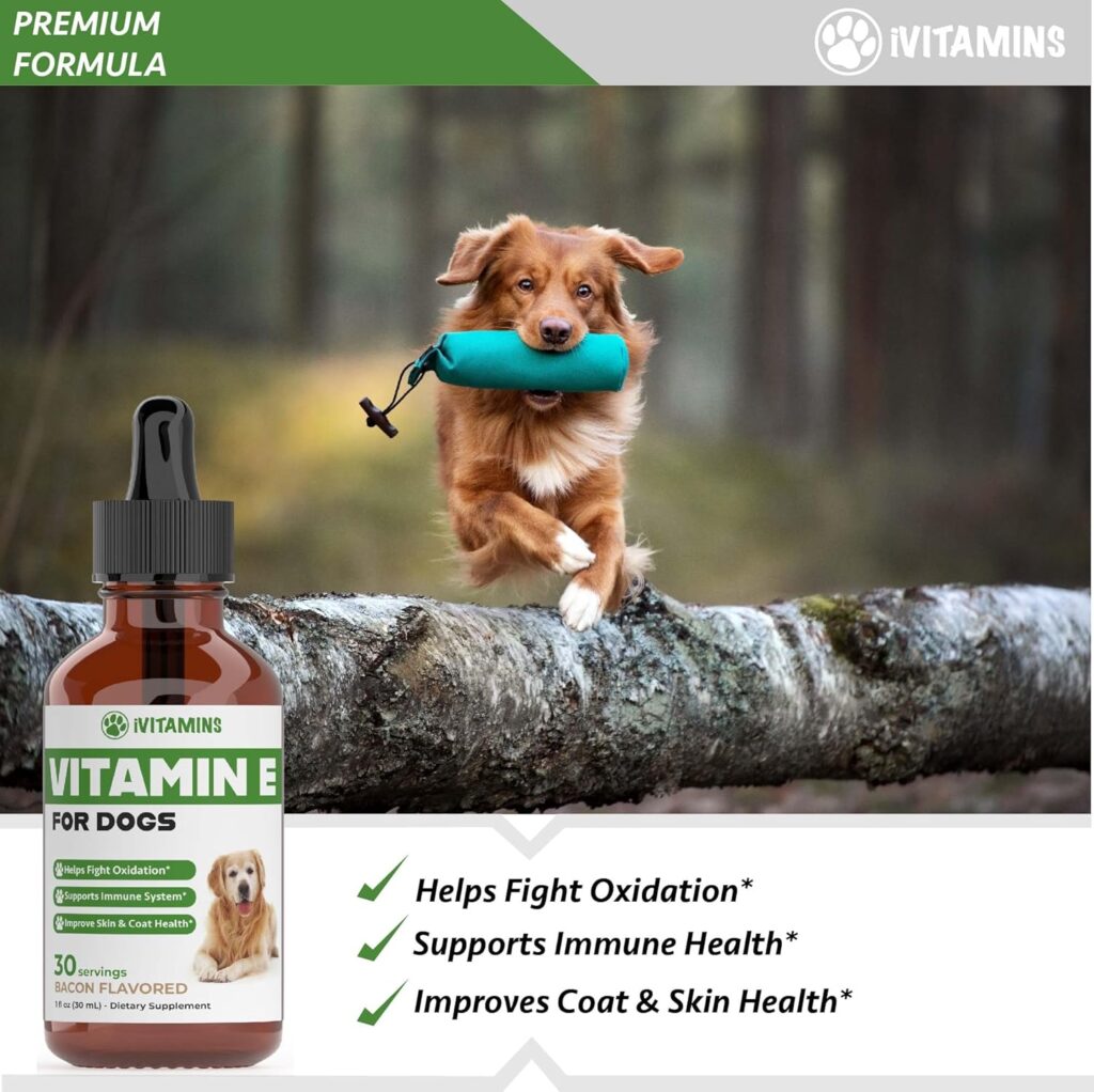 Key Ingredients in Vitamin E Supplements for Dogs