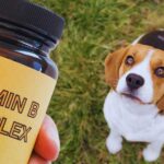 Vitamin D Complex for Dogs