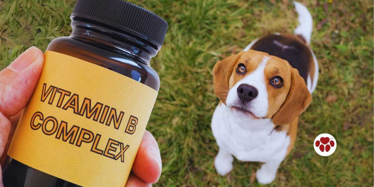Vitamin D Complex for Dogs