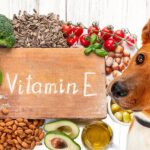 Vitamin E for Dogs