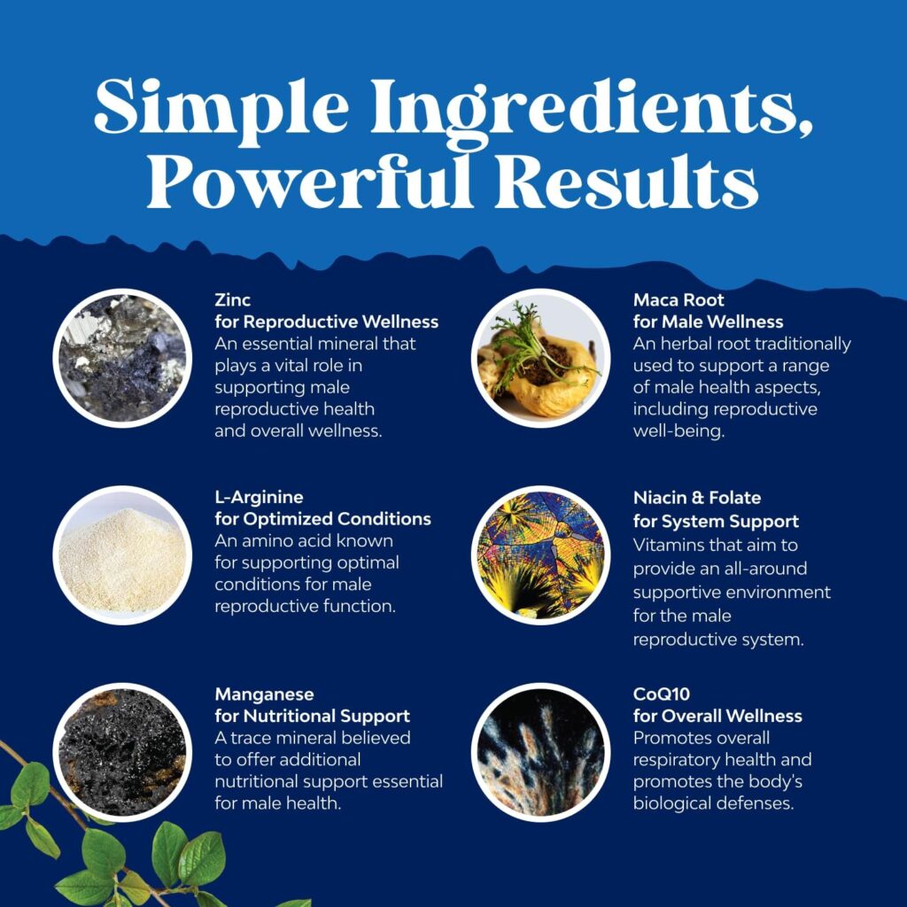 Key Ingredients in the Best Male Fertility Supplement