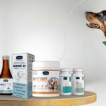 Best Joint Supplement For Dogs