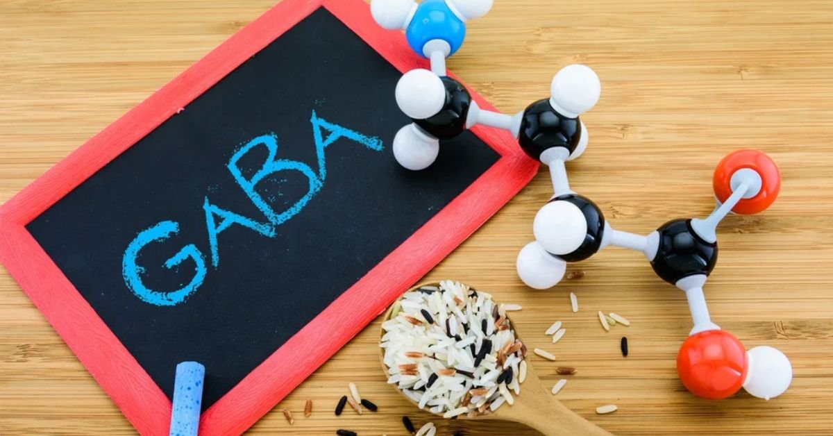 Best GABA Supplements