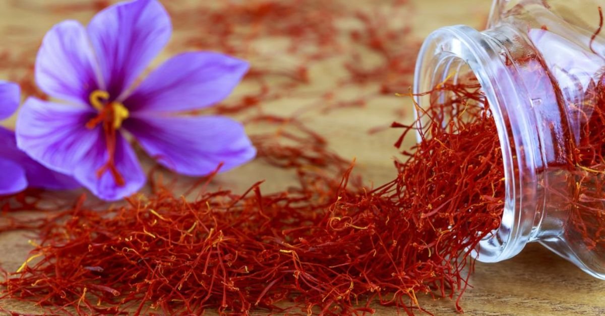 Best Saffron Supplement