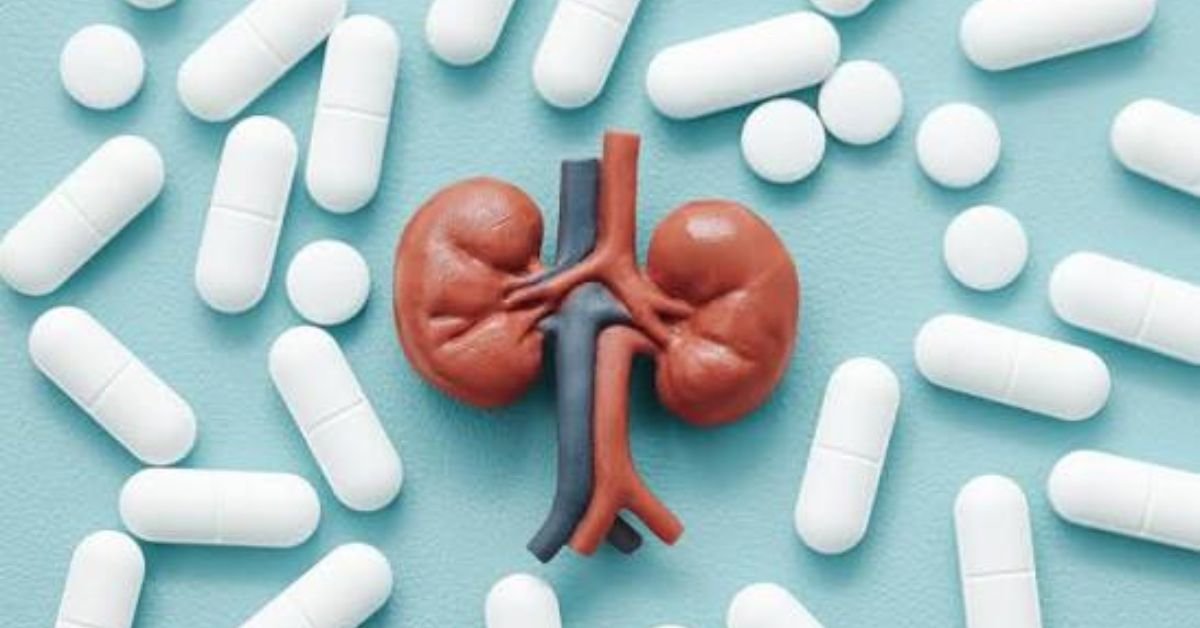 Best Supplements To Improve Kidney Function